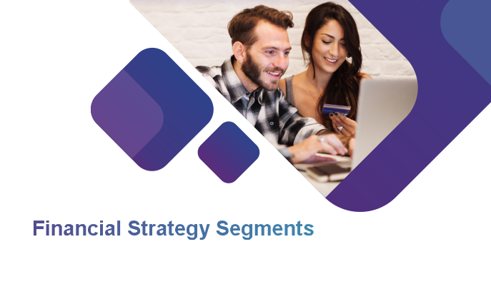 Financial Strategy Segments